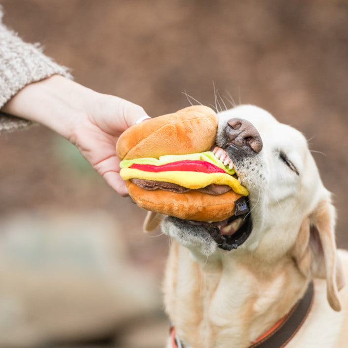 P.L.A.Y. Hamburger Dog Toy