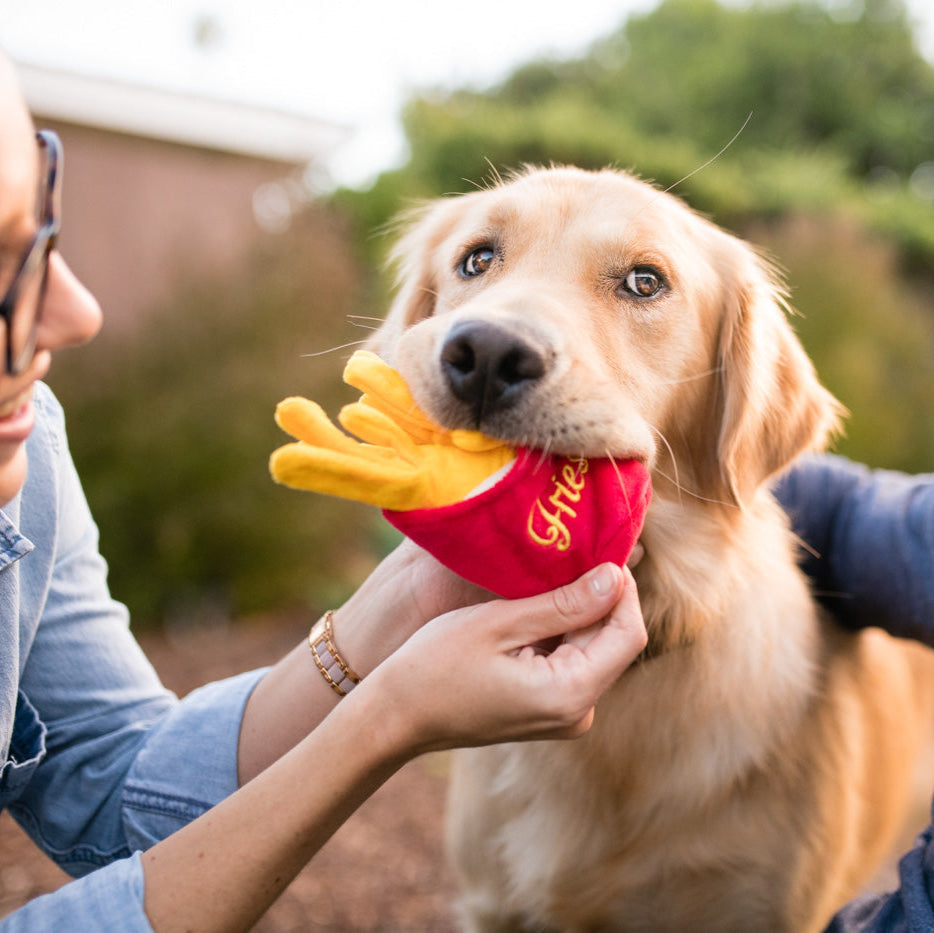 P.L.A.Y. French Fries Toy