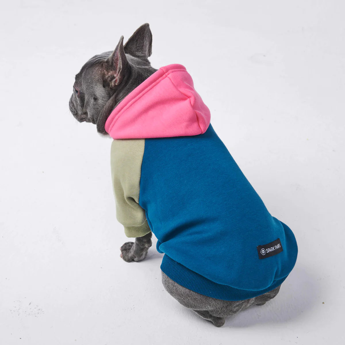 Color Block Hoodie