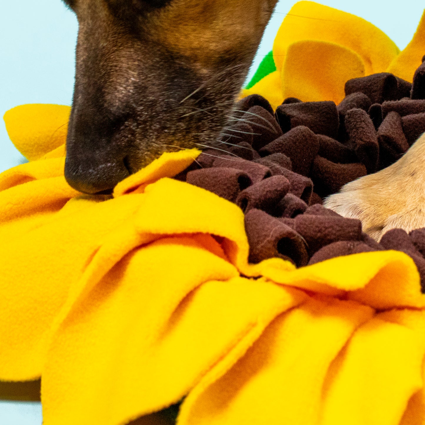 Sunflower Snufflemat