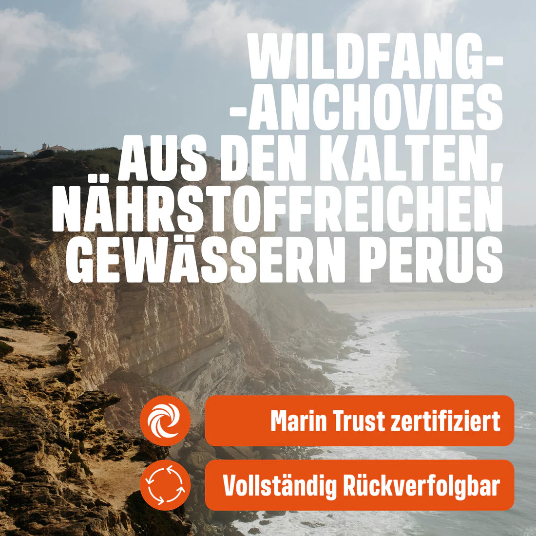 PERUVIAN ANCHOVY OIL