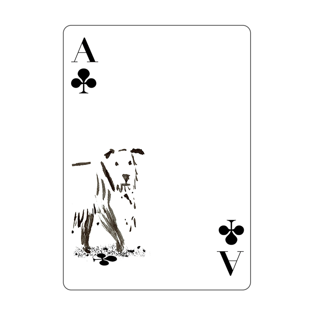 <tc>Hundespielkarten</tc>
