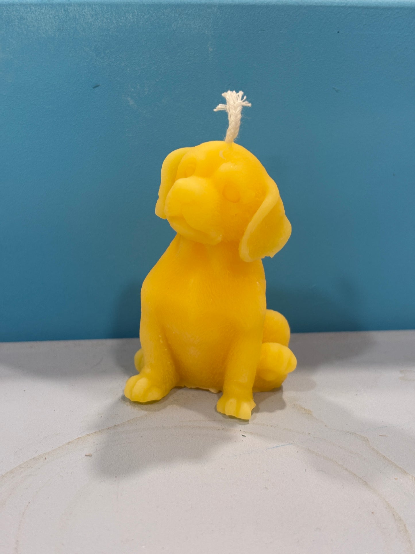 Bee a good dog candle