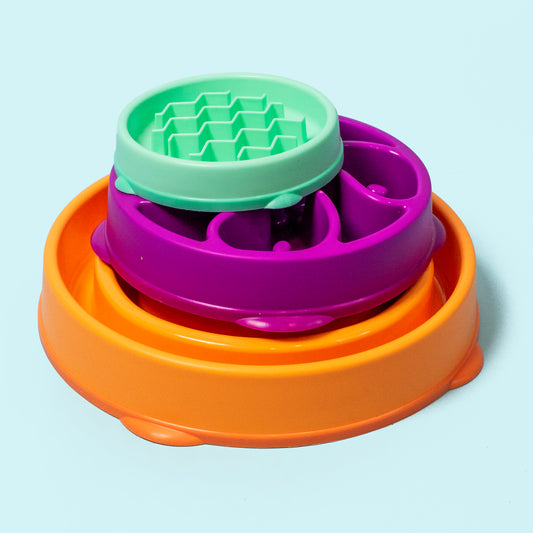 Fun Feeder "Slo Bowl"