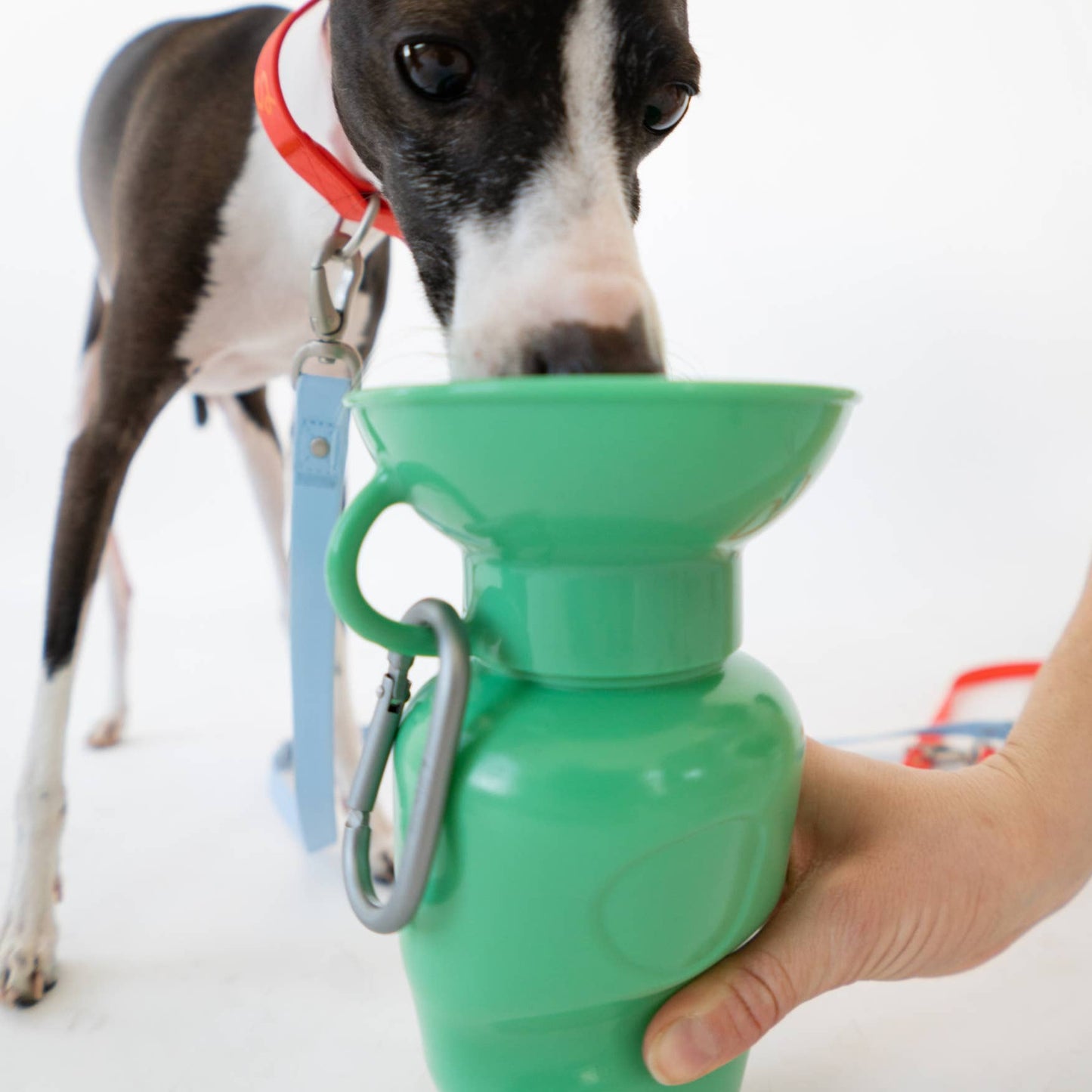 Springer Hundewasser-Reiseflasche