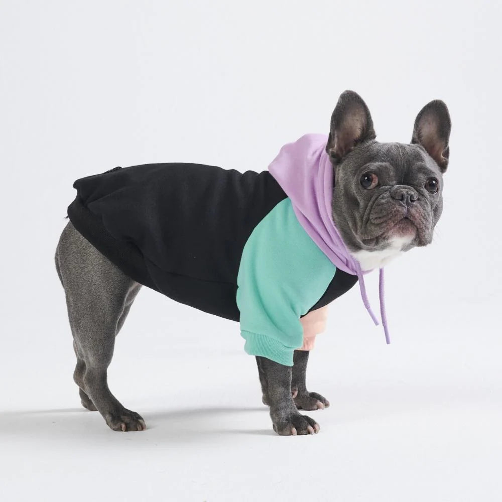 Color Block Hoodie