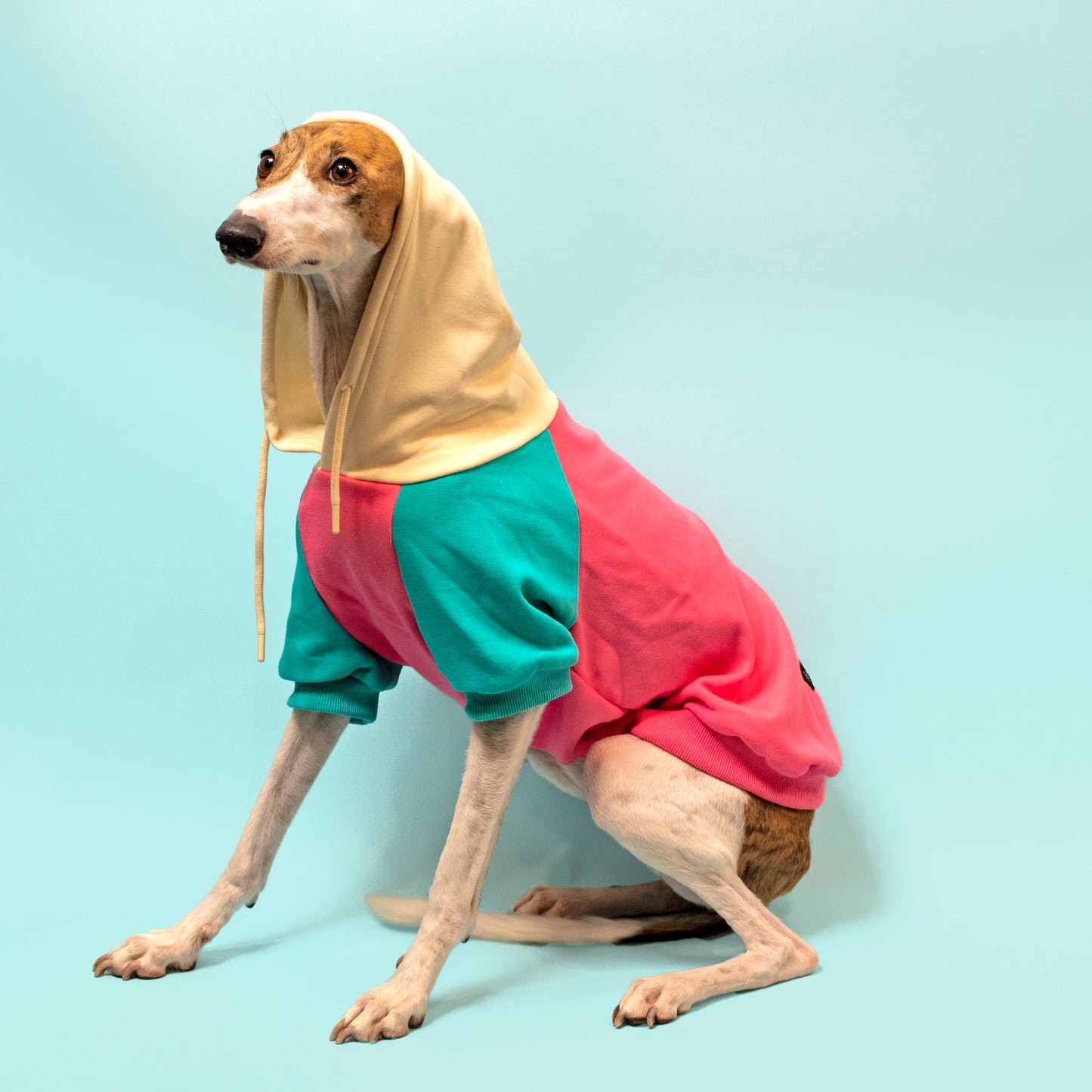 Color Block Hoodie