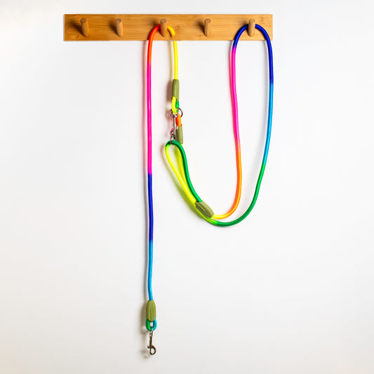 Regenbogen-freihändig verstellbare Leine