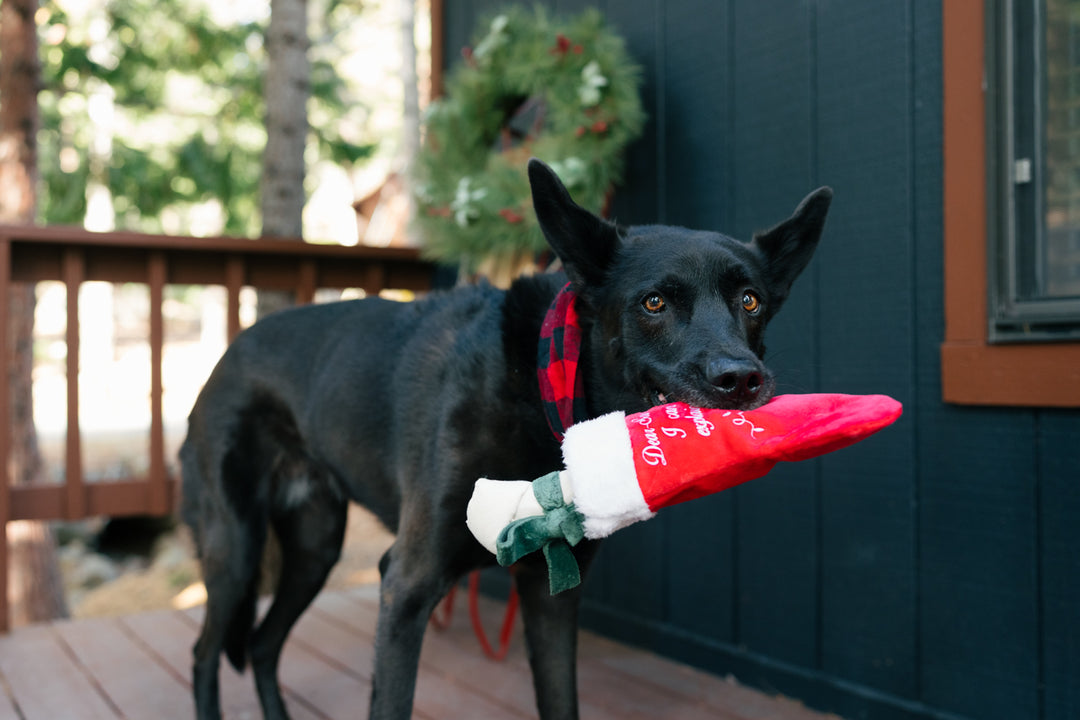 PLAY Weihnachtsstrumpf